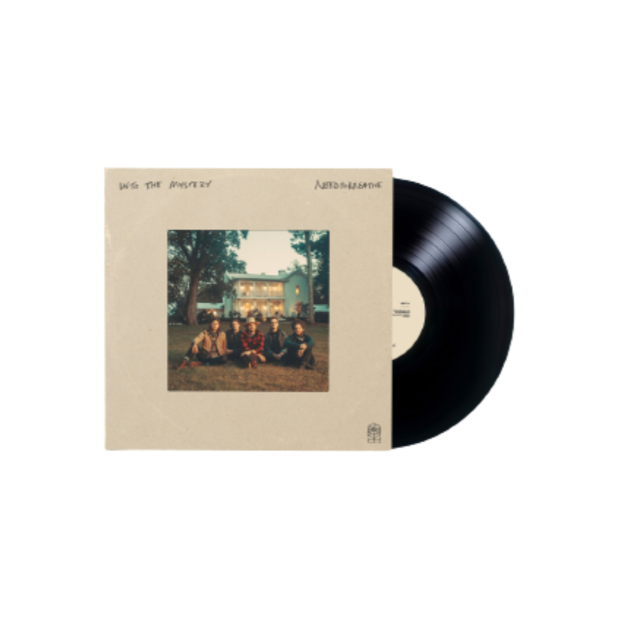Into The Mystery - Standard Black Vinyl