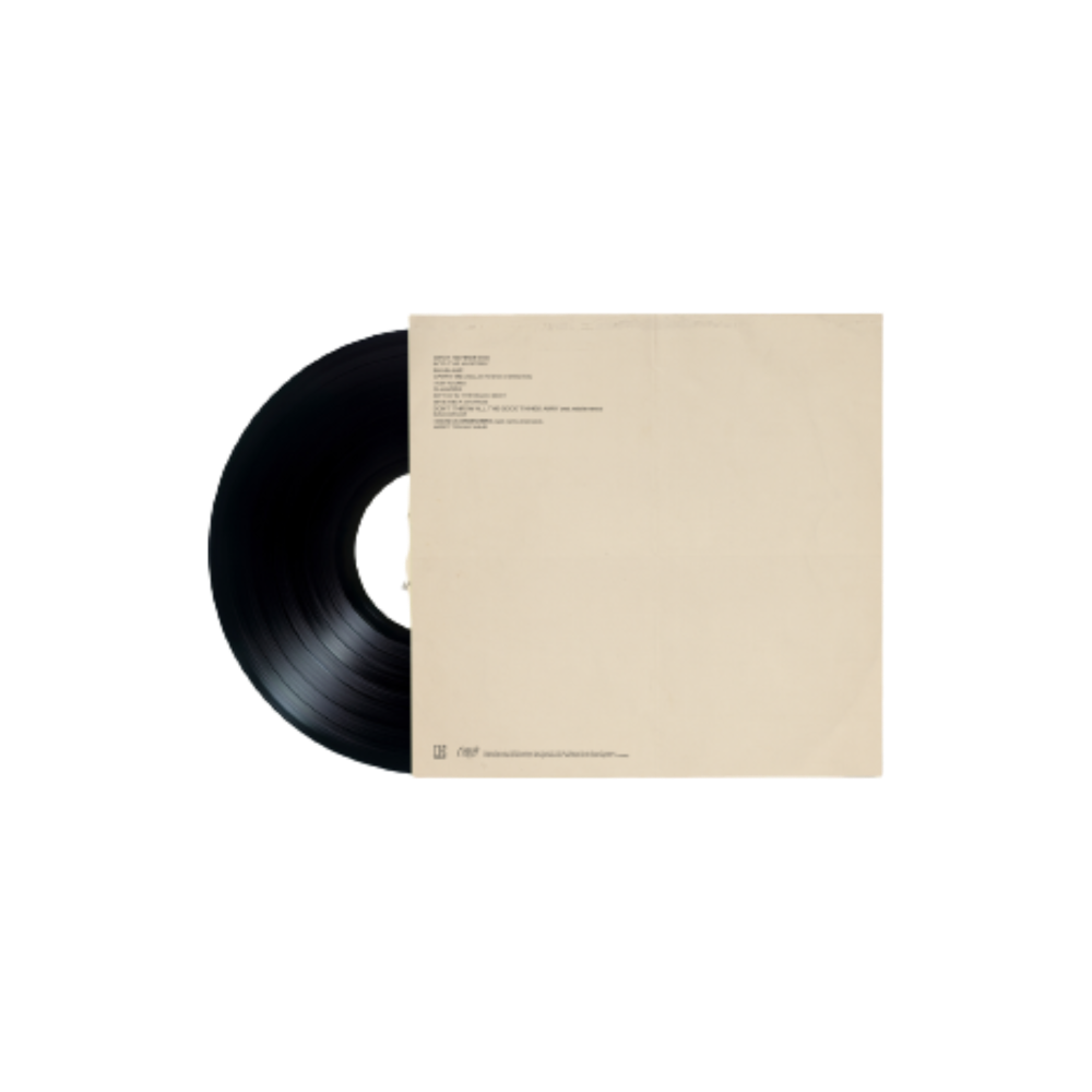Into The Mystery - Standard Black Vinyl