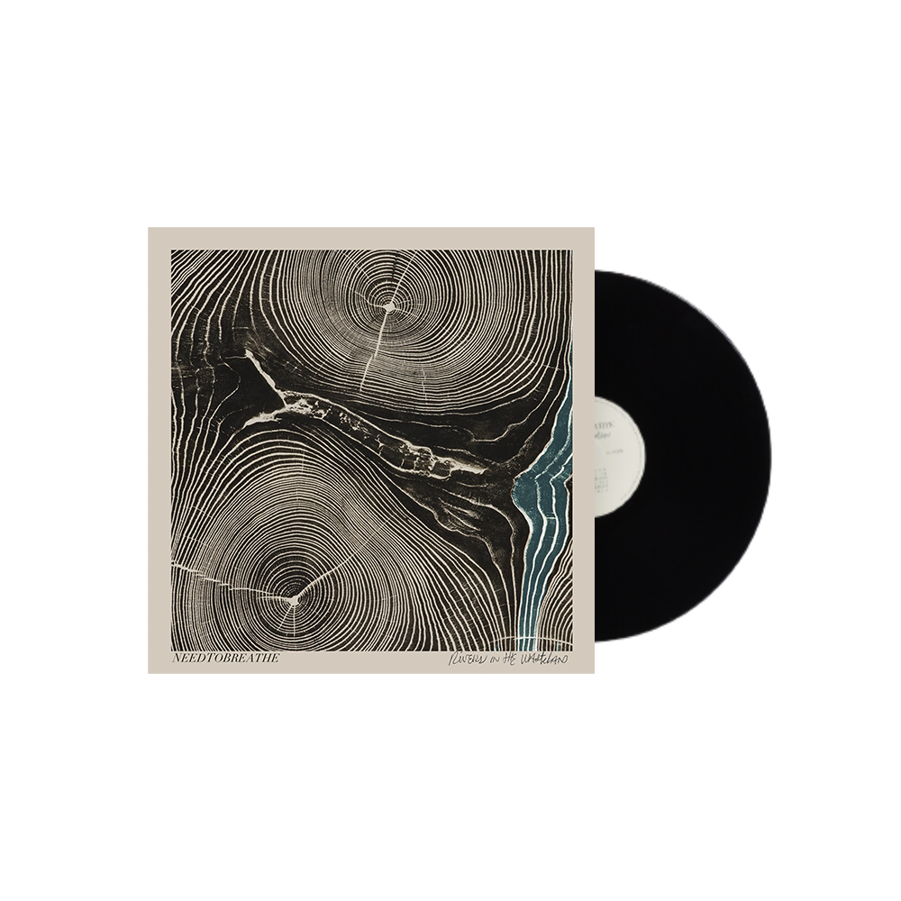 Rivers In the Wasteland - Vinyl – NEEDCO