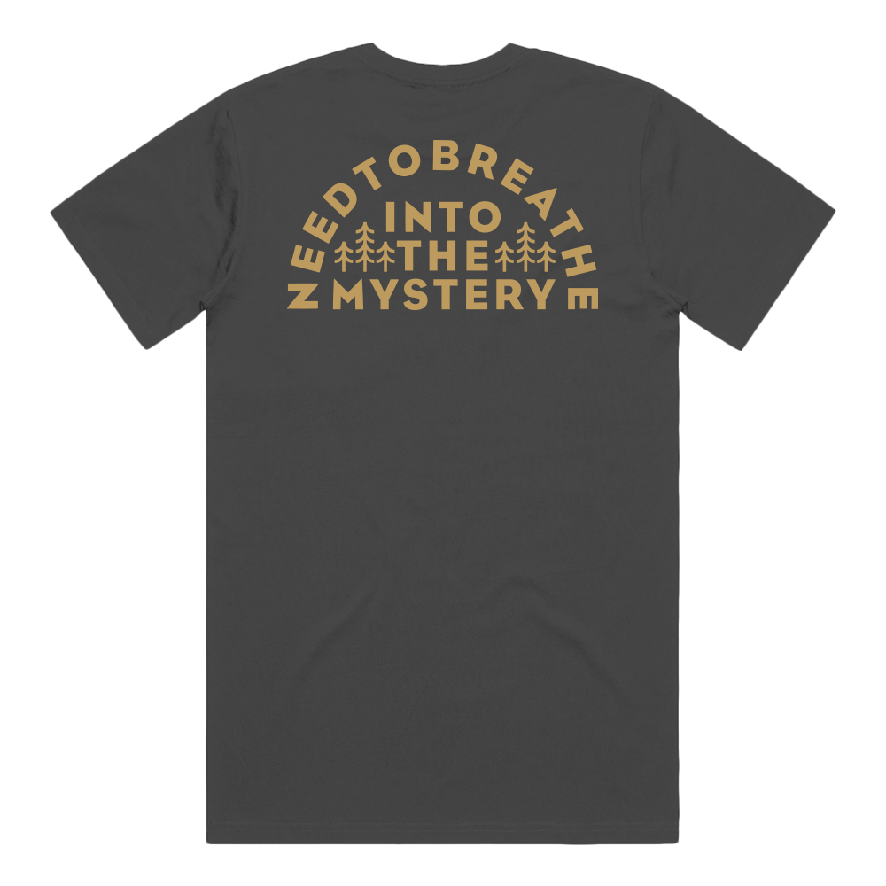 Into The Mystery Arch Tee