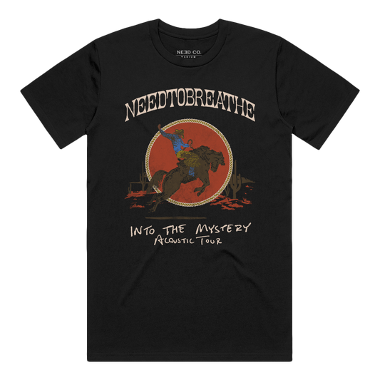 Distressed Acoustic Tour Tee