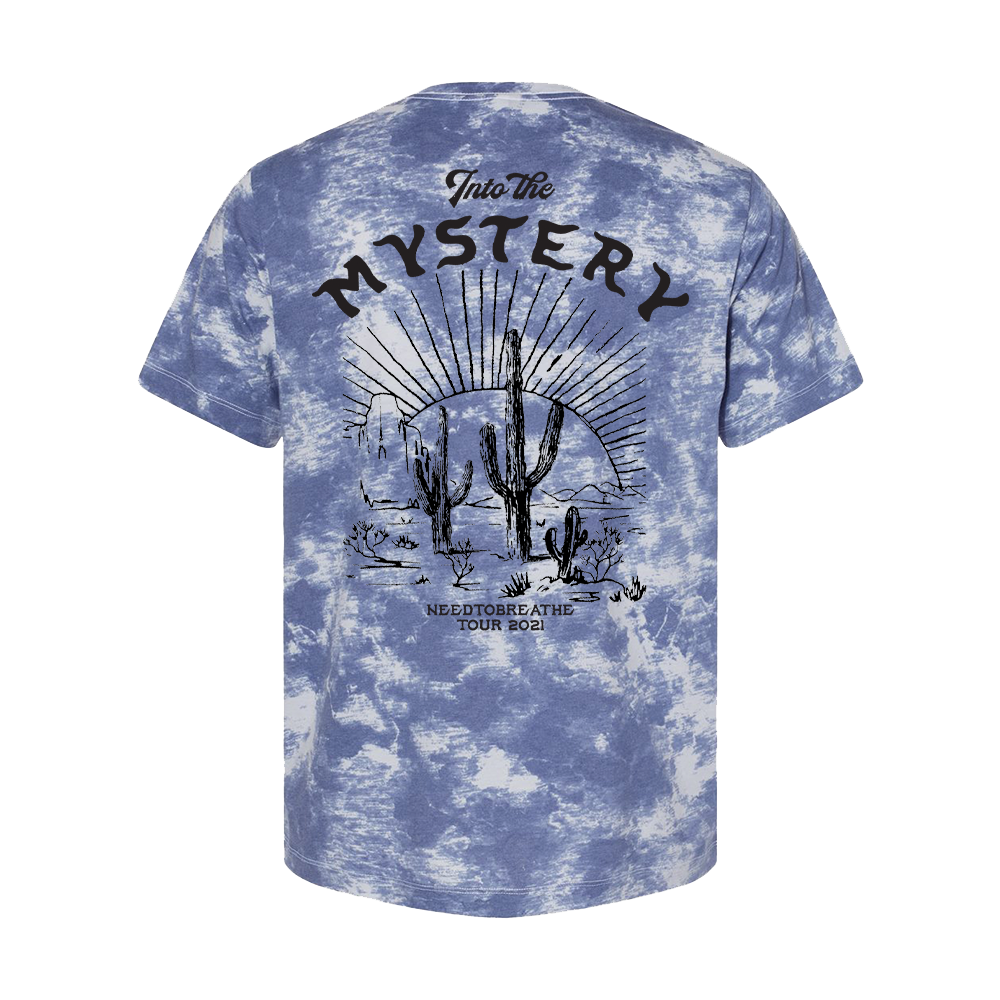 Tie dye desert tee back NEEDTOBREATHE